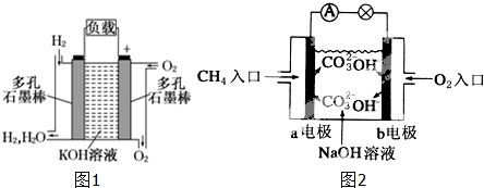 高中化学有机反应与官能团专题解析